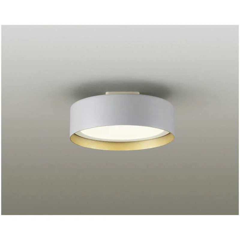 DXL-81484C
