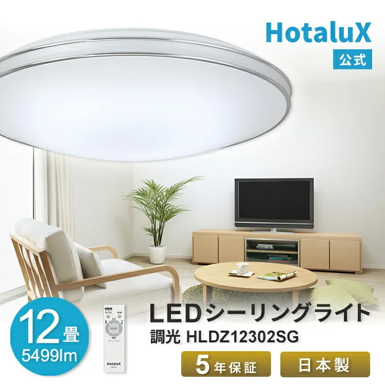 HLDZ12302SG