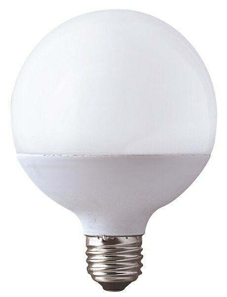 LDG12NG100W-TM