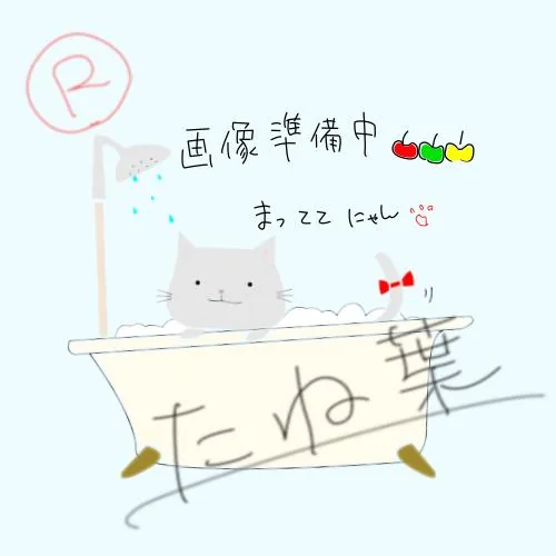ノーリツ NFG9B05PBA