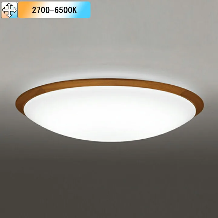 OL251263R1