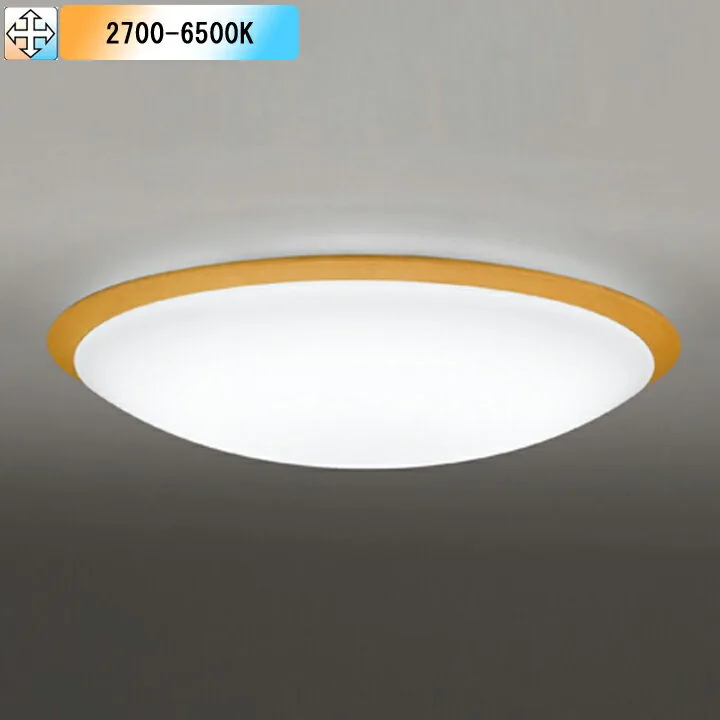 OL251266R1