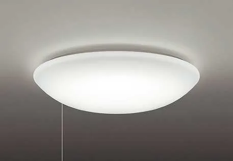 OL251896NR