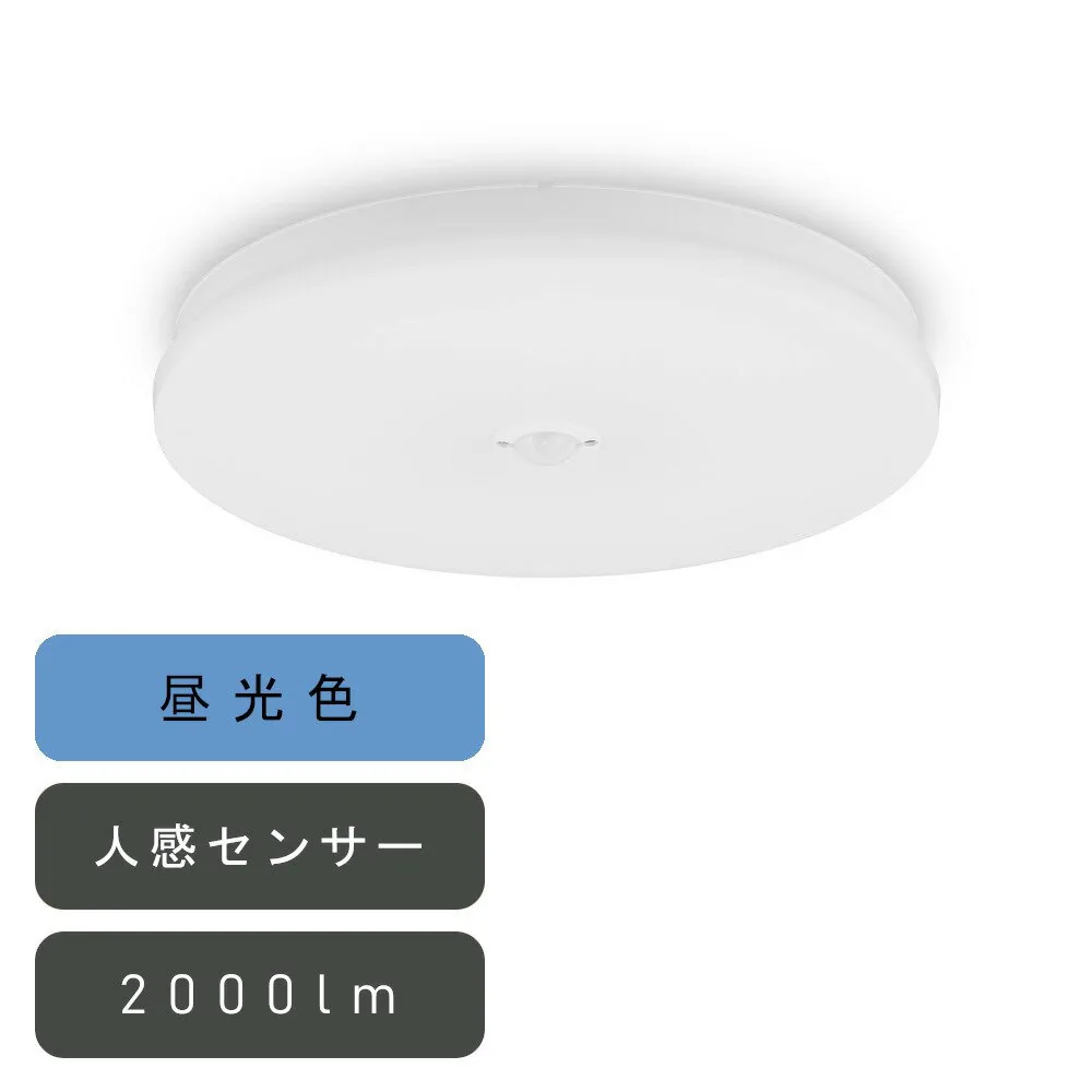 SCL20D-MS-U2