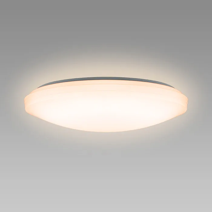 SLDZ08790L