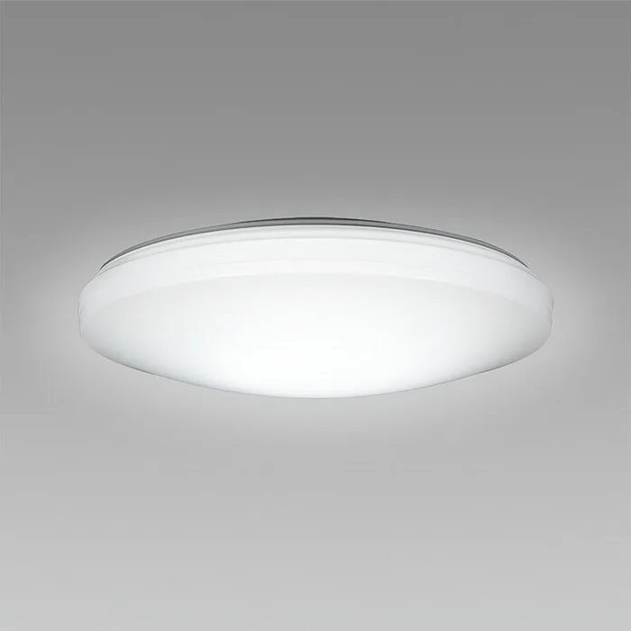 SLDZ08790N
